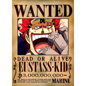 Placa Decorativa Onepiece WANTED Eustass Kid 